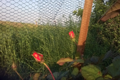 Foto-24